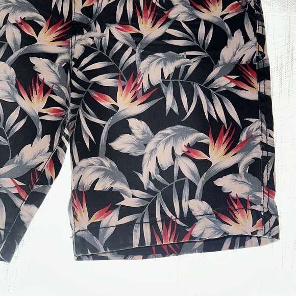 Men’s AE American Eagle tropical palm tree men’s shorts size 31 - Picture 3 of 10